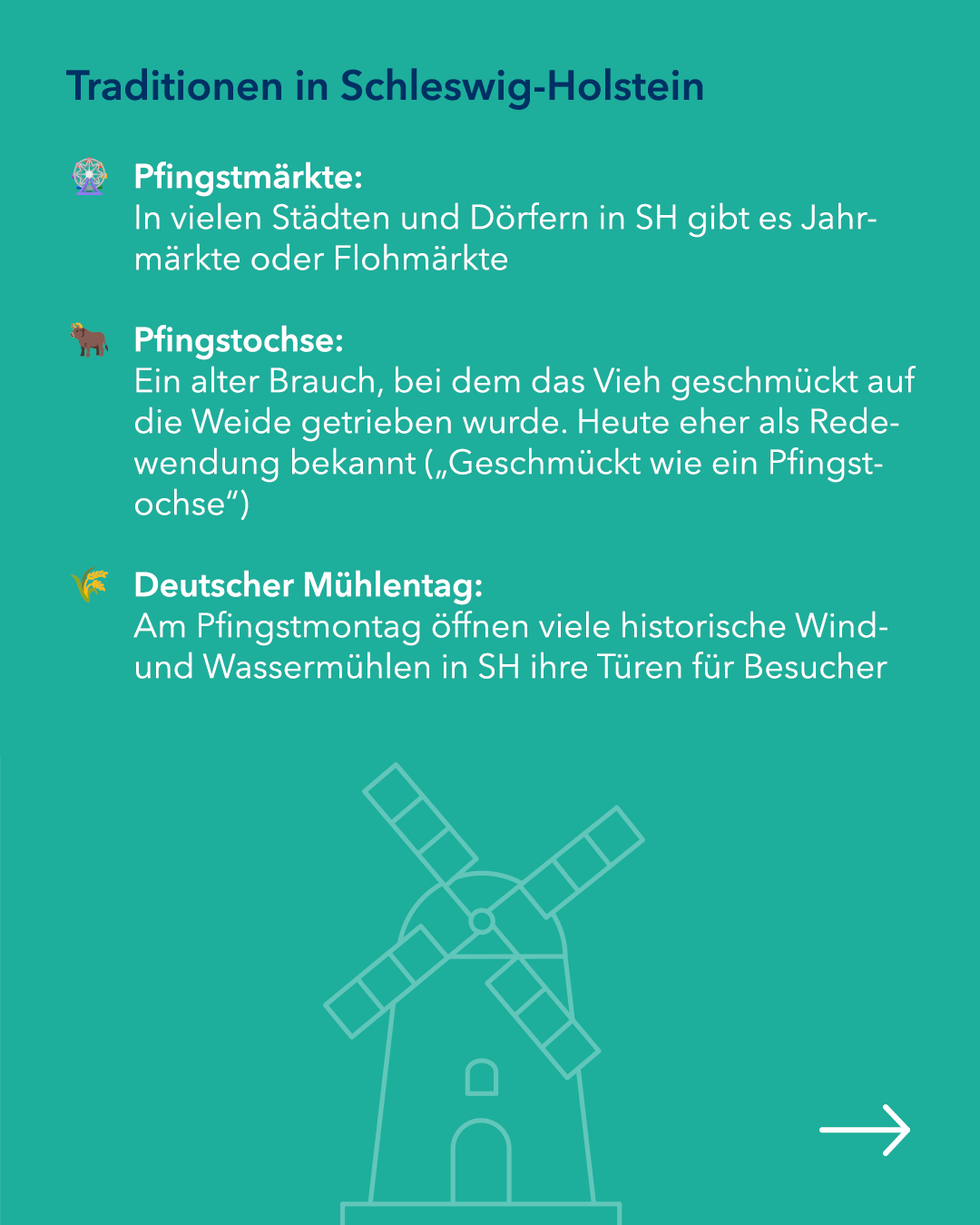 Slider Bild 4